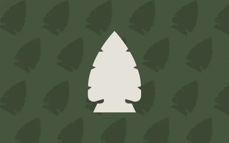 The brand pattern: the arrowhead and pine-tree symbol repeated across a forest-green field with one cream symbol standing forward
