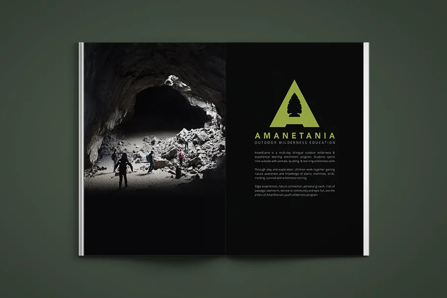 A printed spread: a cave-mouth photograph across the left page and the mark in bright green with the program description on the black right page