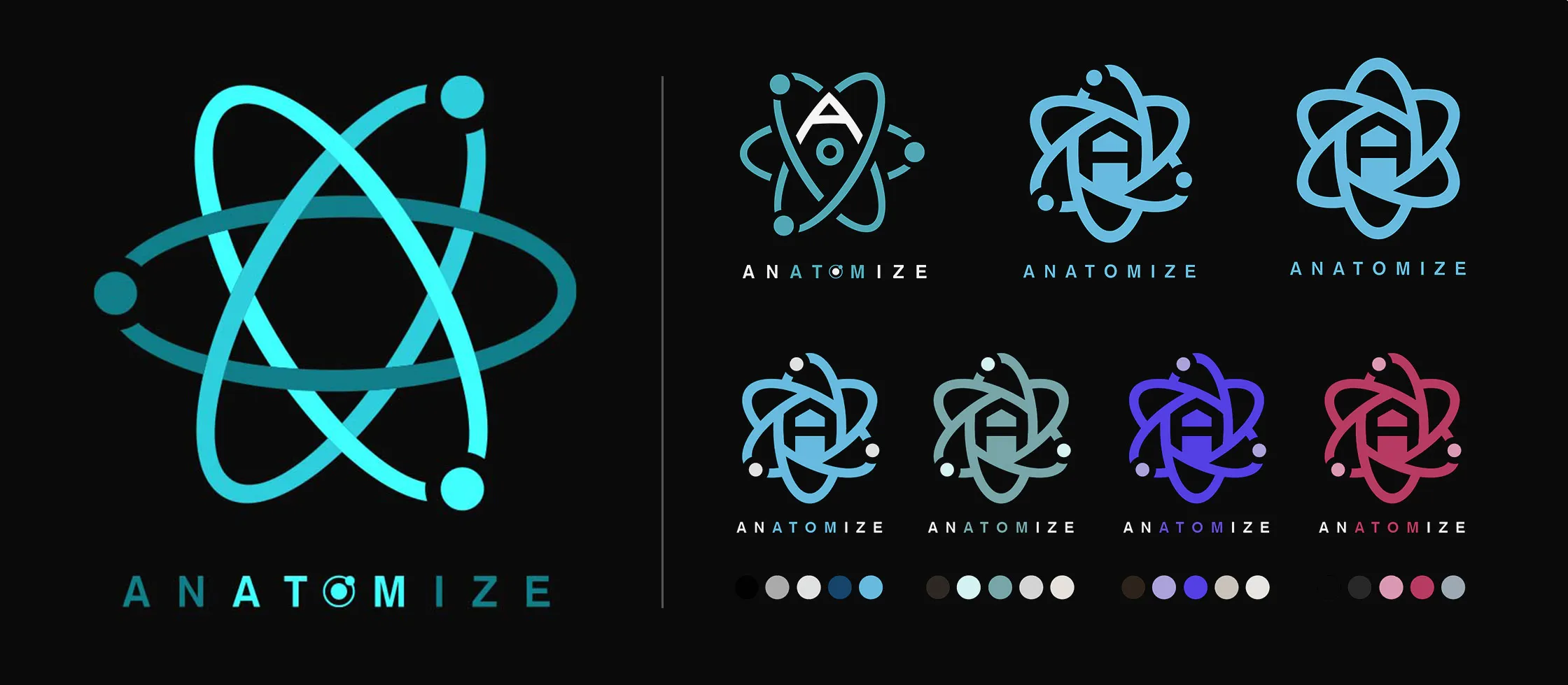 The Anatomize identity board: the primary atom-inspired logo and wordmark, logo variations, and the brand color palette